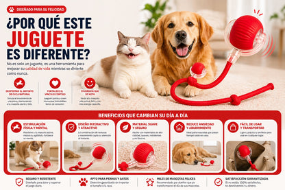 PELOTA INTERACTIVA PARA MASCOTAS 🐶🪀