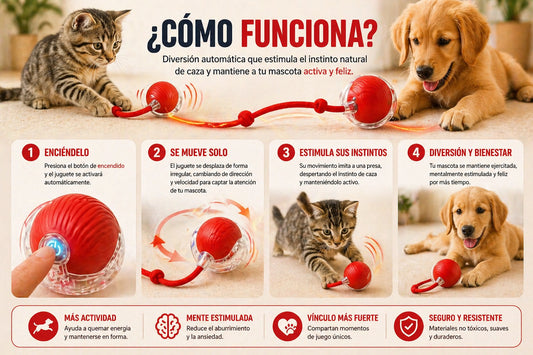 PELOTA INTERACTIVA PARA MASCOTAS 🐶🪀